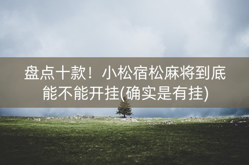 盘点十款！小松宿松麻将到底能不能开挂(确实是有挂)
