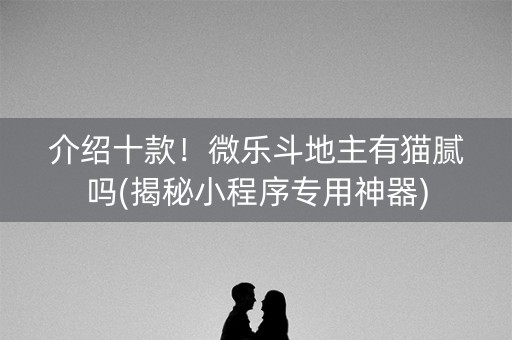 介绍十款！微乐斗地主有猫腻吗(揭秘小程序专用神器)