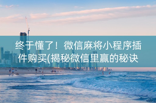 终于懂了！微信麻将小程序插件购买(揭秘微信里赢的秘诀)