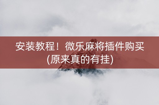 安装教程！微乐麻将插件购买(原来真的有挂)
