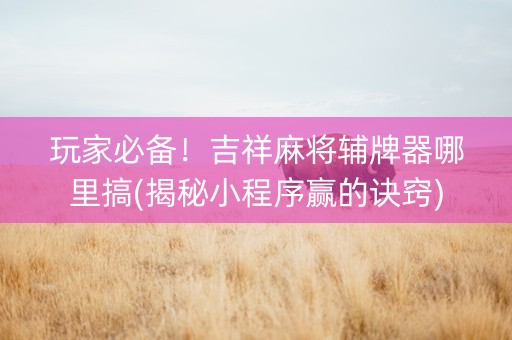 玩家必备！吉祥麻将辅牌器哪里搞(揭秘小程序赢的诀窍)