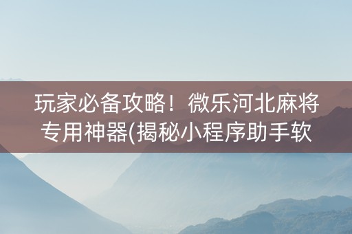 玩家必备攻略！微乐河北麻将专用神器(揭秘小程序助手软件)