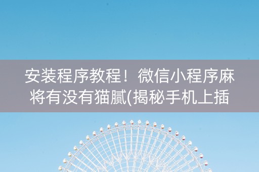安装程序教程！微信小程序麻将有没有猫腻(揭秘手机上插件购买)