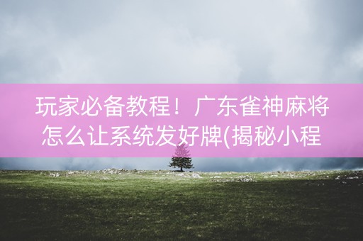 玩家必备教程！广东雀神麻将怎么让系统发好牌(揭秘小程序专用神器下载)