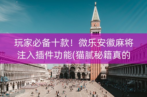 玩家必备十款！微乐安徽麻将注入插件功能(猫腻秘籍真的有挂)