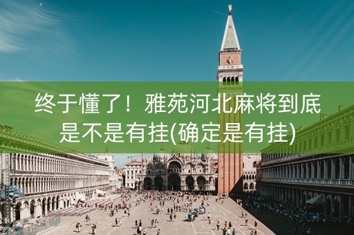 终于懂了！雅苑河北麻将到底是不是有挂(确定是有挂)