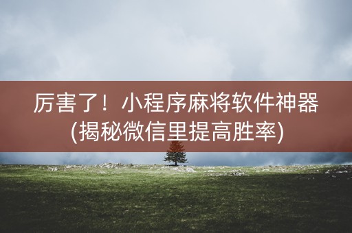 厉害了！小程序麻将软件神器(揭秘微信里提高胜率)