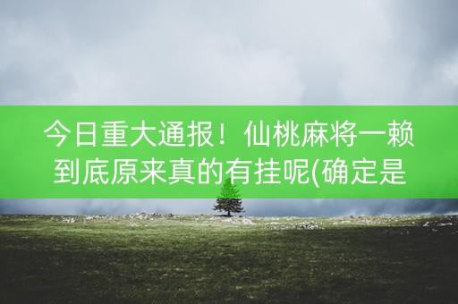 今日重大通报！仙桃麻将一赖到底原来真的有挂呢(确定是有挂)