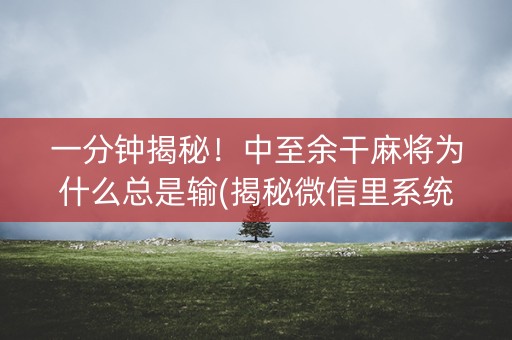 一分钟揭秘！中至余干麻将为什么总是输(揭秘微信里系统发好牌)