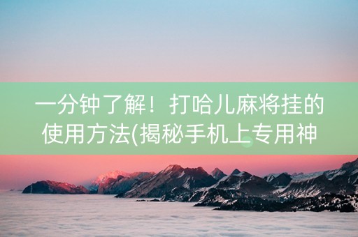 一分钟了解！打哈儿麻将挂的使用方法(揭秘手机上专用神器)