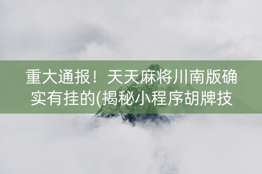 重大通报！天天麻将川南版确实有挂的(揭秘小程序胡牌技巧)