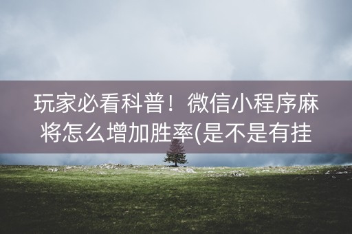 玩家必看科普！微信小程序麻将怎么增加胜率(是不是有挂)