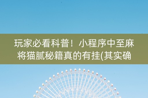 玩家必看科普！小程序中至麻将猫腻秘籍真的有挂(其实确实有挂)