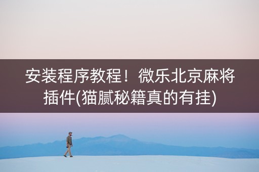 安装程序教程！微乐北京麻将插件(猫腻秘籍真的有挂)
