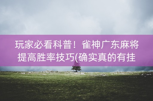 玩家必看科普！雀神广东麻将提高胜率技巧(确实真的有挂)
