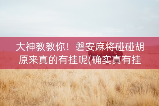 大神教教你！磐安麻将碰碰胡原来真的有挂呢(确实真有挂)