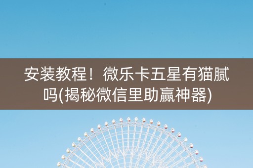 安装教程！微乐卡五星有猫腻吗(揭秘微信里助赢神器)