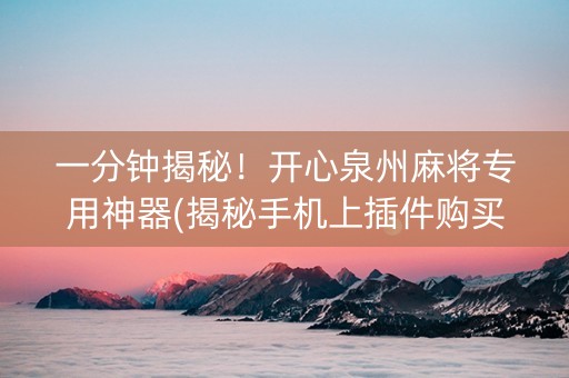 一分钟揭秘！开心泉州麻将专用神器(揭秘手机上插件购买)