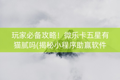 玩家必备攻略！微乐卡五星有猫腻吗(揭秘小程序助赢软件)