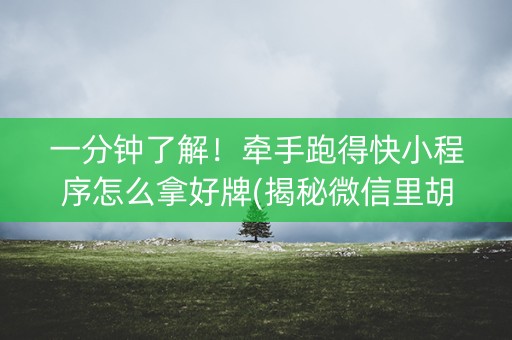 一分钟了解！牵手跑得快小程序怎么拿好牌(揭秘微信里胡牌技巧)