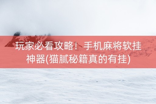 玩家必看攻略！手机麻将软挂神器(猫腻秘籍真的有挂)
