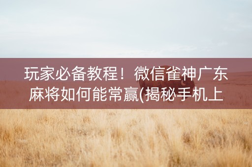 玩家必备教程！微信雀神广东麻将如何能常赢(揭秘手机上提高胜率)
