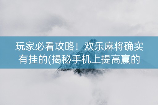 玩家必看攻略！欢乐麻将确实有挂的(揭秘手机上提高赢的概率)