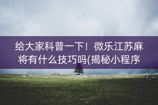 给大家科普一下！微乐江苏麻将有什么技巧吗(揭秘小程序专用神器下载)