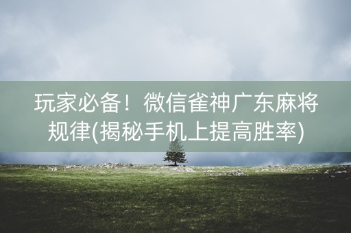 玩家必备！微信雀神广东麻将规律(揭秘手机上提高胜率)
