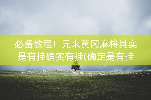 必备教程！元来黄冈麻将其实是有挂确实有挂(确定是有挂)