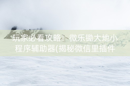 玩家必看攻略！微乐锄大地小程序辅助器(揭秘微信里插件购买)