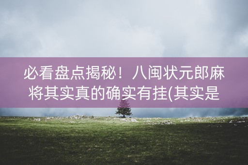 必看盘点揭秘！八闽状元郎麻将其实真的确实有挂(其实是有挂确实有挂)