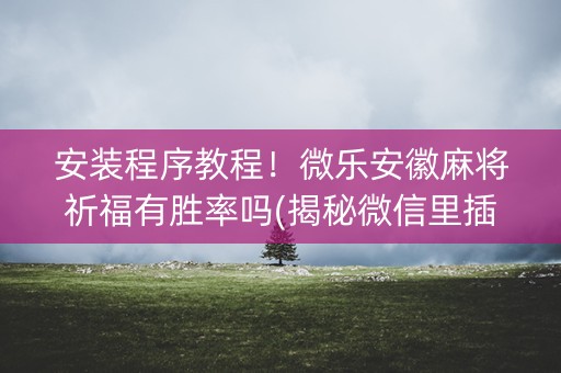 安装程序教程！微乐安徽麻将祈福有胜率吗(揭秘微信里插件下载)