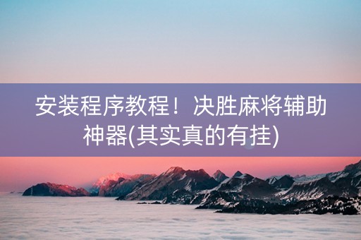 安装程序教程！决胜麻将辅助神器(其实真的有挂)