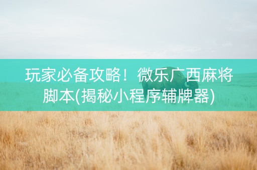 玩家必备攻略！微乐广西麻将脚本(揭秘小程序辅牌器)