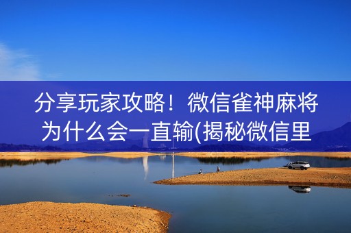 分享玩家攻略！微信雀神麻将为什么会一直输(揭秘微信里必备神器)