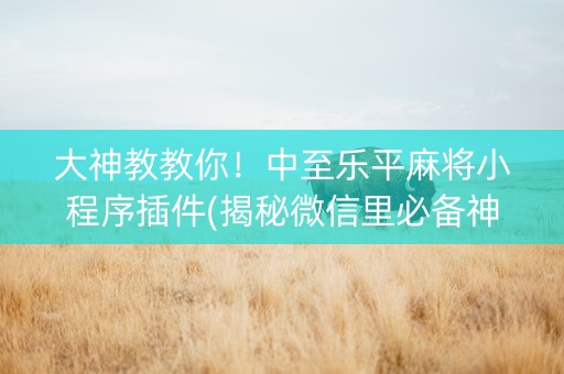 大神教教你！中至乐平麻将小程序插件(揭秘微信里必备神器)