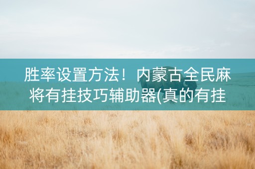 胜率设置方法！内蒙古全民麻将有挂技巧辅助器(真的有挂)