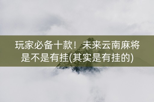 玩家必备十款！未来云南麻将是不是有挂(其实是有挂的)