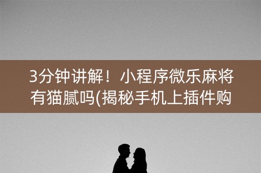 3分钟讲解！小程序微乐麻将有猫腻吗(揭秘手机上插件购买)