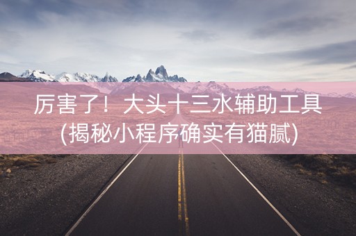 厉害了！大头十三水辅助工具(揭秘小程序确实有猫腻)