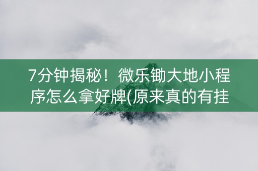 7分钟揭秘！微乐锄大地小程序怎么拿好牌(原来真的有挂)
