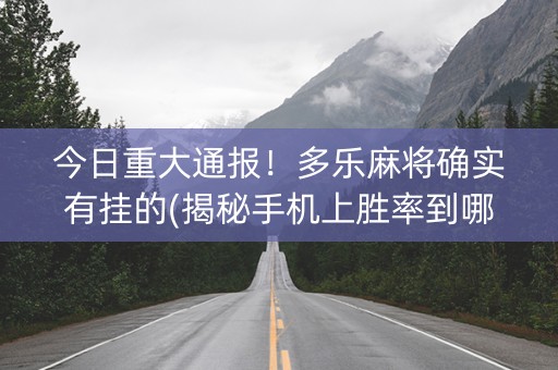 今日重大通报！多乐麻将确实有挂的(揭秘手机上胜率到哪调)