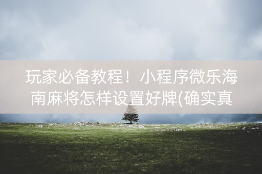 玩家必备教程！小程序微乐海南麻将怎样设置好牌(确实真的有挂)