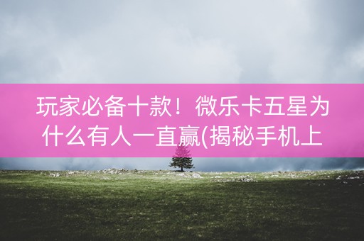 玩家必备十款！微乐卡五星为什么有人一直赢(揭秘手机上如何让牌变好)