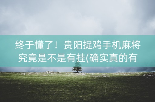 终于懂了！贵阳捉鸡手机麻将究竟是不是有挂(确实真的有挂)