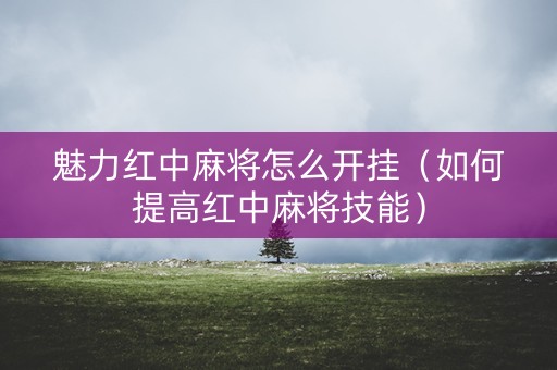魅力红中麻将怎么开挂（如何提高红中麻将技能）