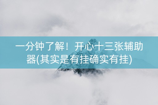 一分钟了解！开心十三张辅助器(其实是有挂确实有挂)