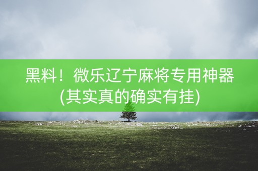 黑料！微乐辽宁麻将专用神器(其实真的确实有挂)