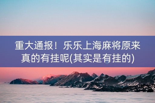 重大通报！乐乐上海麻将原来真的有挂呢(其实是有挂的)